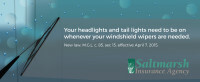 headlight-law