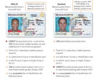 RMV License Requirements Thumbnail